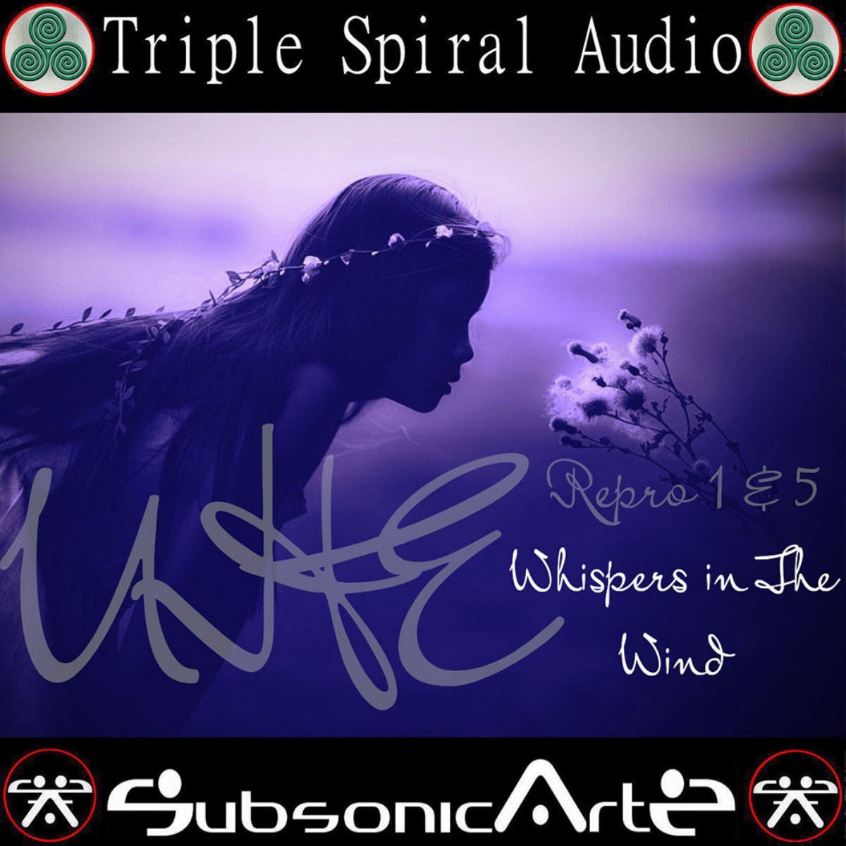 Subsonic Artz - Whispers in the Wind Presets Software GUI Artwork